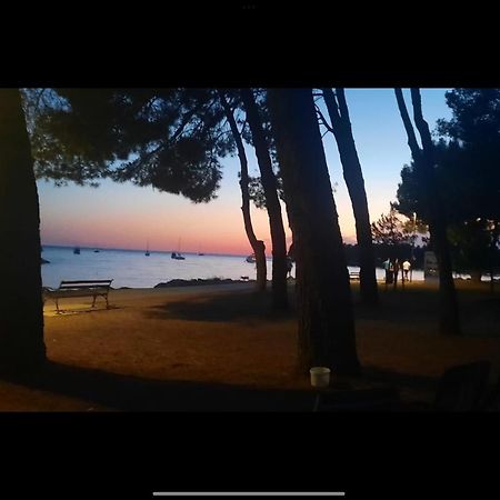 Apartman Sija Novigrad Novigrad  Zewnętrze zdjęcie