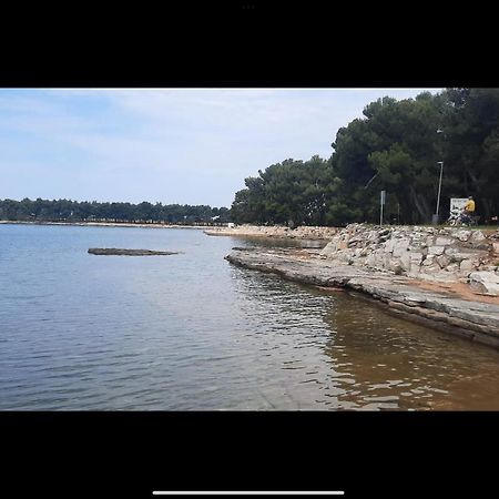 Apartman Sija Novigrad Novigrad  Zewnętrze zdjęcie