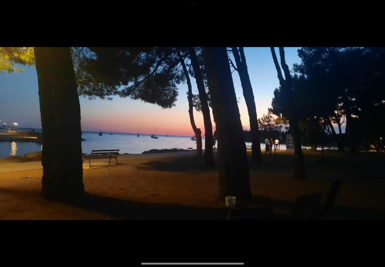 Apartman Sija Novigrad Novigrad  Zewnętrze zdjęcie