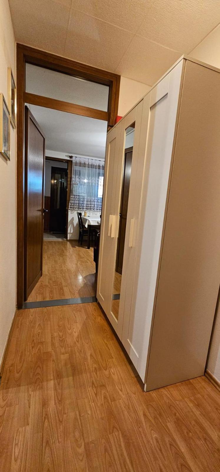 Apartman Sija Novigrad Novigrad  Zewnętrze zdjęcie