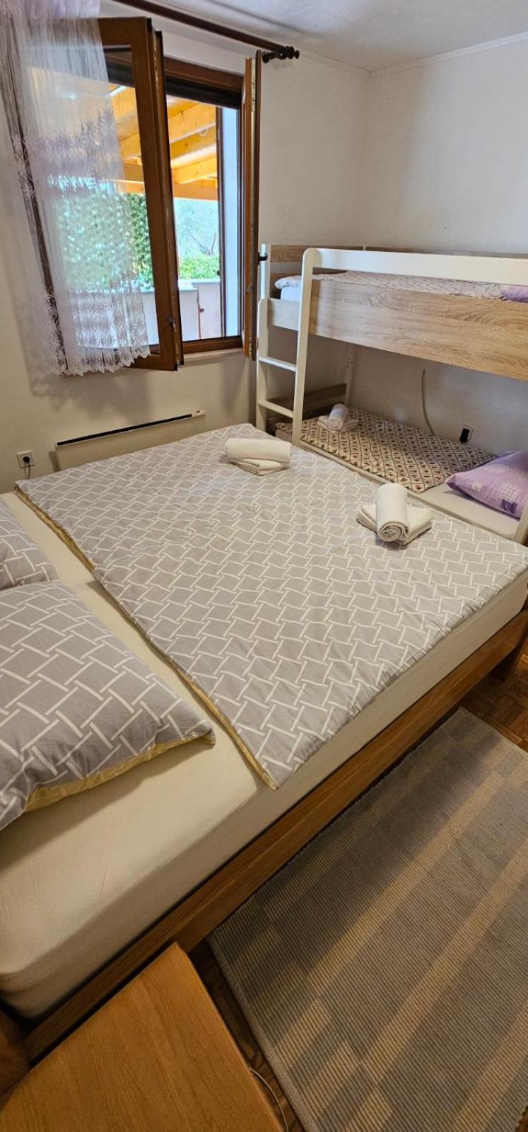 Apartman Sija Novigrad Novigrad  Zewnętrze zdjęcie